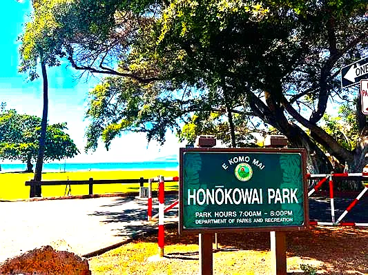 3676 Lower Honoapiilani Rd #G304 — Photo 10