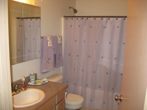 Lower Bathroom