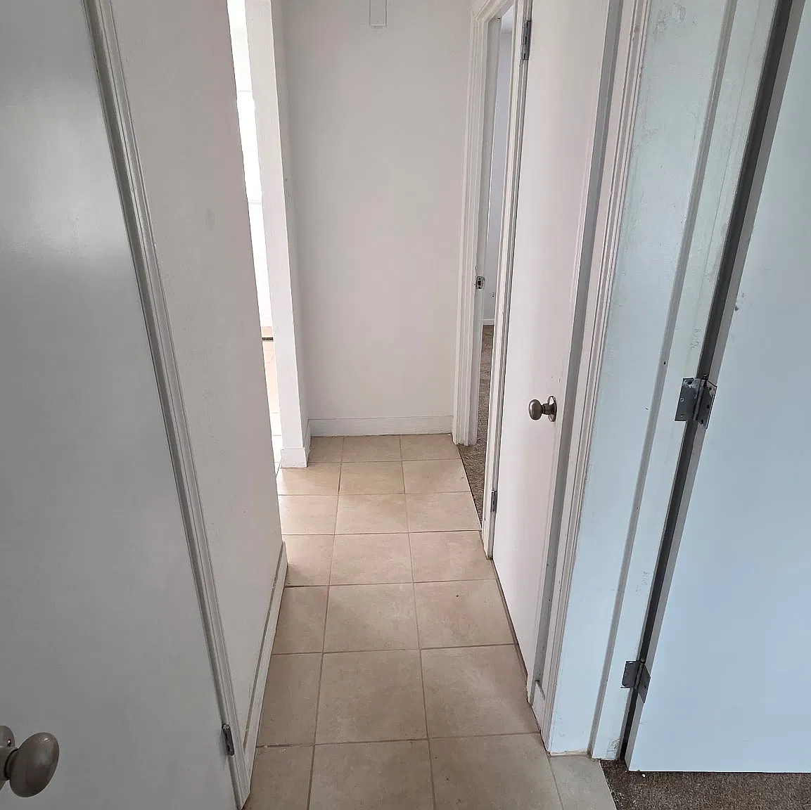 2 bed, 730 sqft, $1,000 — Photo 2