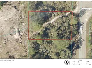 Fisher Loop LOT 75, Ocklawaha, FL 32179