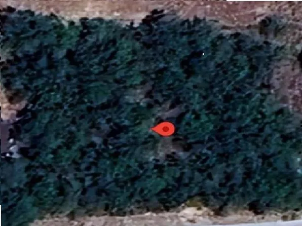 302 County Rd, Falfurrias, TX 78355