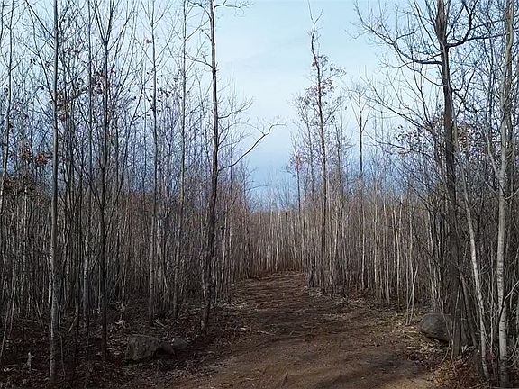 4th image of W583X Oak Ridge Drive