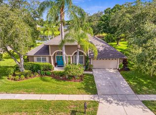 8410 Ridgebrook Cir, Odessa, FL 33556