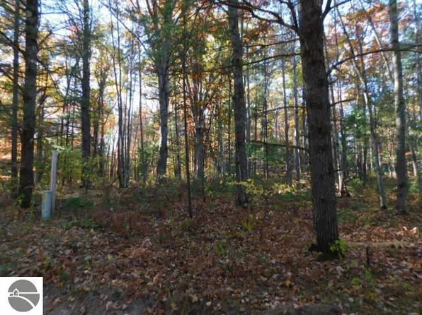 S River Rd, Kalkaska, MI 49646