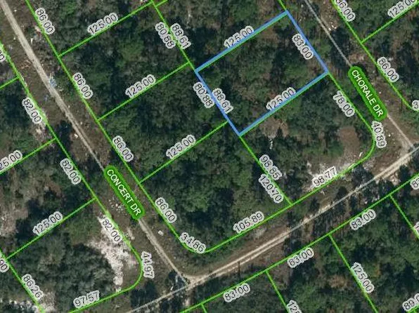 362 Chorale Dr #17, Lake Placid, FL 33852