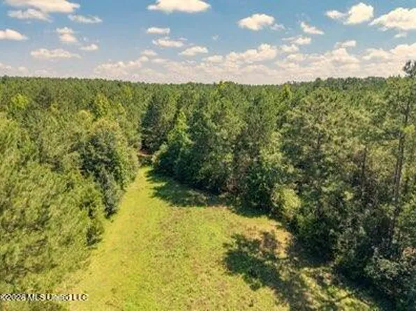 Nhn Nw Neil Lambert Rd, Jayess, MS 39641