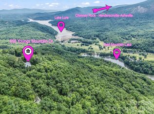 698 Youngs Mountain Dr, Lake Lure, NC 28746