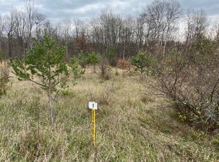 6873 Cedar Trce, Stanwood, MI 49346