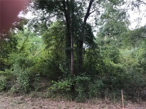 Bella Vista Loop, Homer, LA 71040