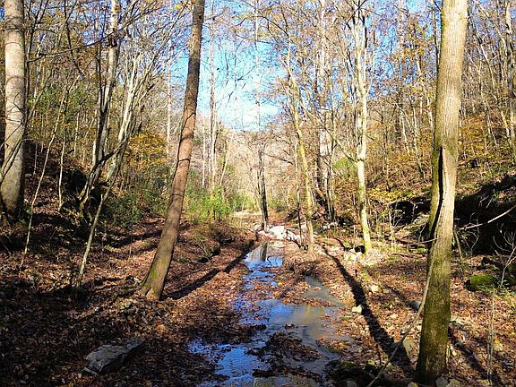 5th image of 0 Hollis Creek Rd S