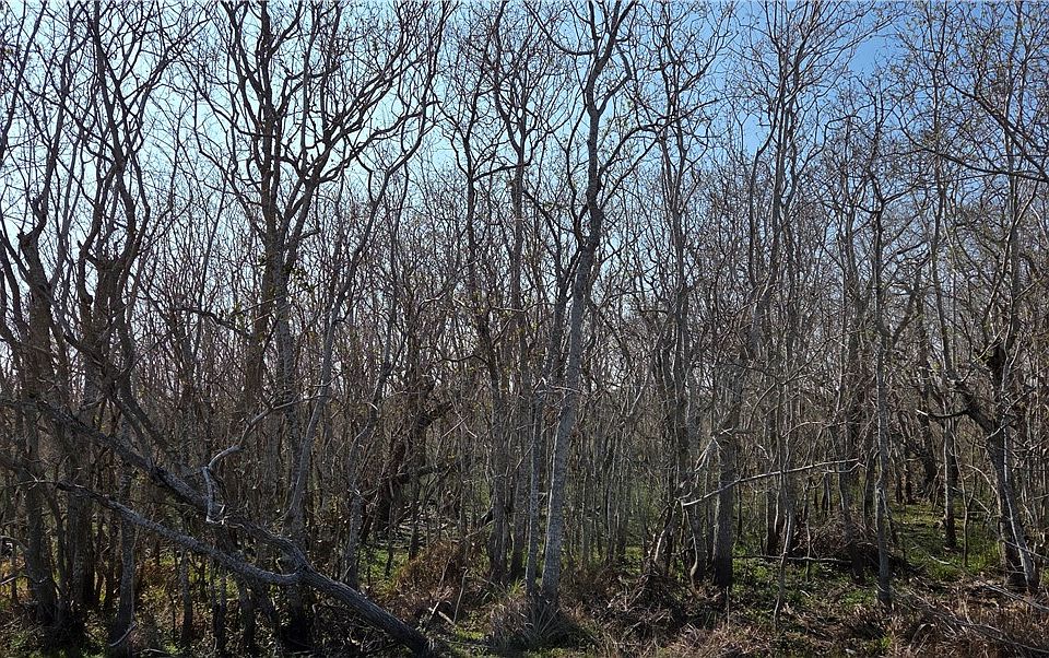 1st image of 2515B Monkey Rd