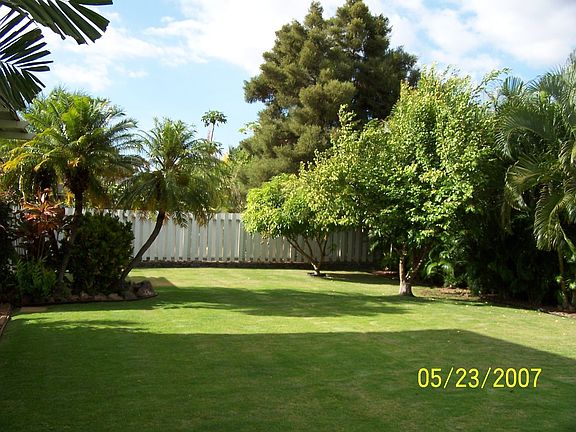 back yard