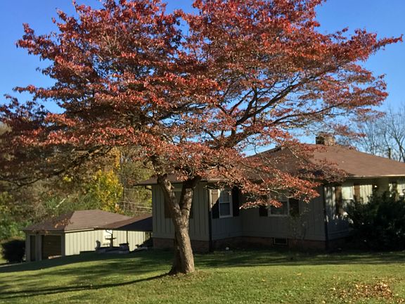 5th image of 110 Circle Hill Dr