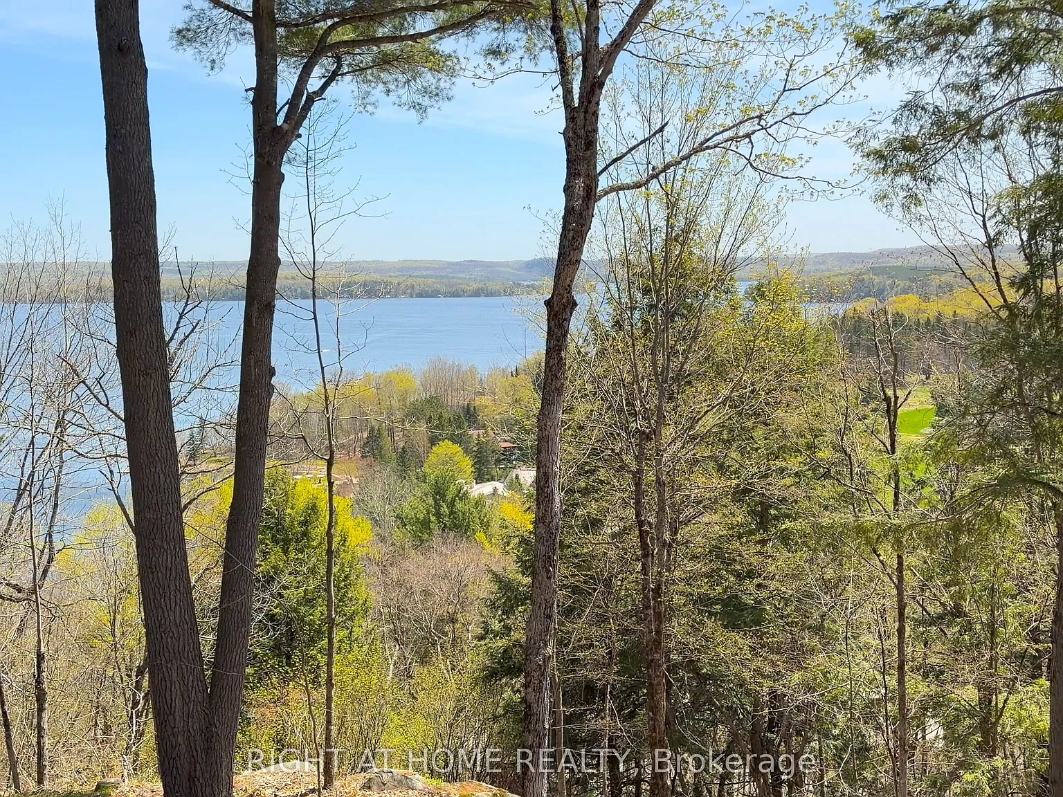 2 bed, $3,500 — Photo 2