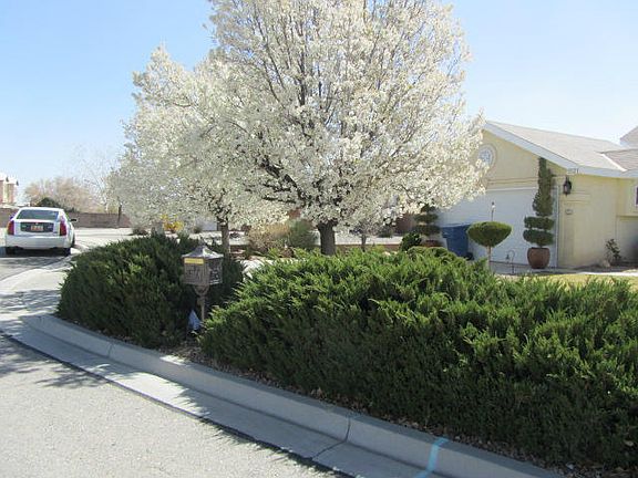 4th image of 1521 Avenida Las Brisas NW