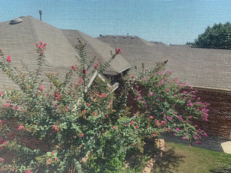 8516 Prairie Fire Dr — Photo 14