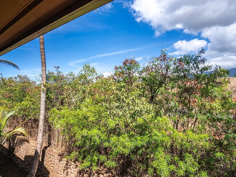 3740 Lower Honoapiilani Rd #F307 — Photo 32