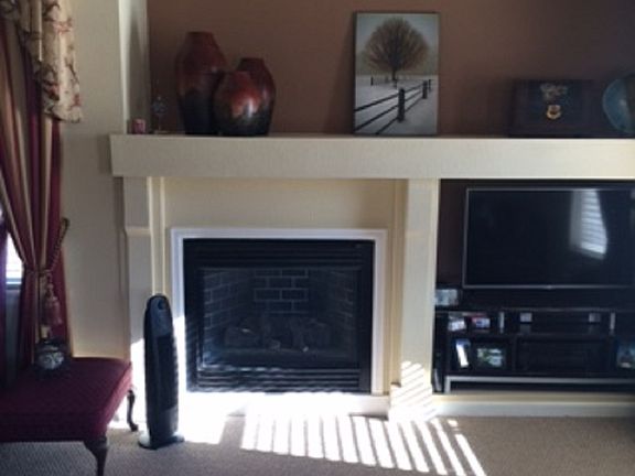 Gas burning fire place