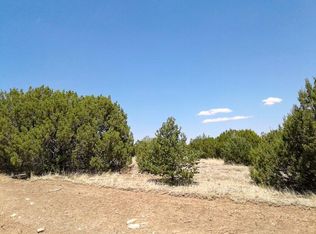 46 Sundance Kid Rd, Edgewood, NM 87015
