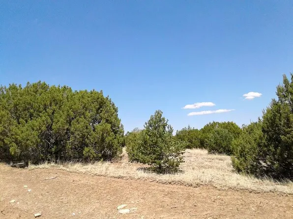 46 Sundance Kid Rd, Edgewood, NM 87015