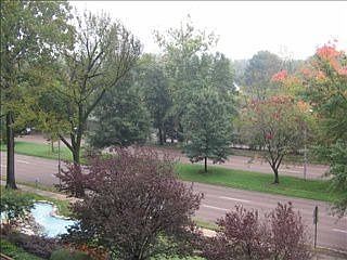 1st image of 1960 N Parkway APT 402