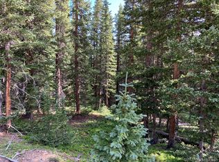 768 Prunes Pl, Fairplay, CO 80440