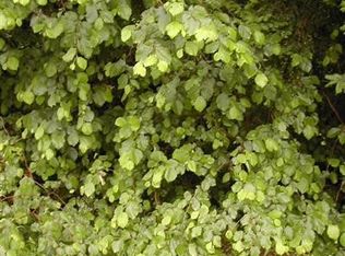 0 Timberline Dr, Castle Rock, WA 98611