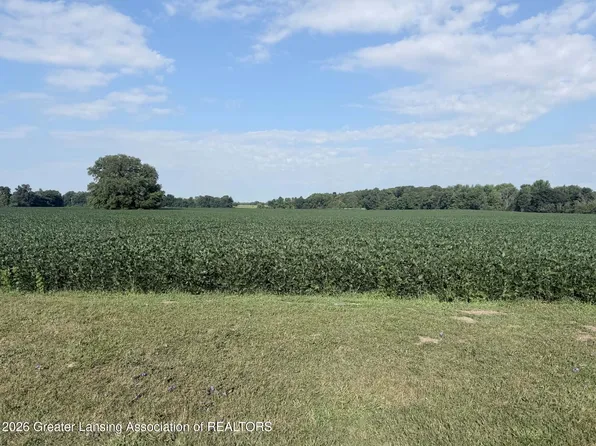 PARCEL Holt Hwy #A, Dimondale, MI 48821