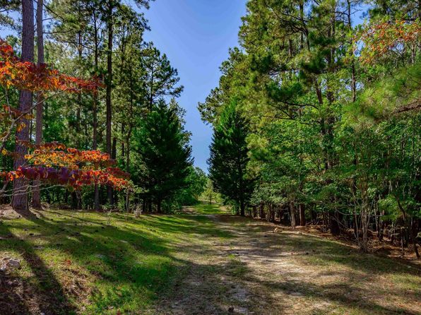 10011 Longtown Rd, Ridgeway, SC 29130