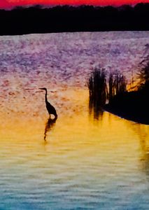 5518 Brigantine Cay Ct, Texas City, TX, 77590