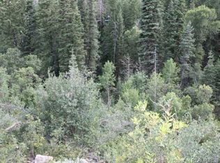 45 Happiness Trl, Midway, UT 84049