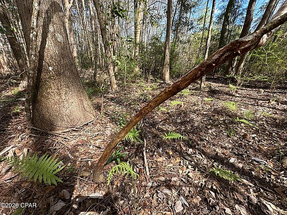 5th image of TRACT 6409 Davis Rd