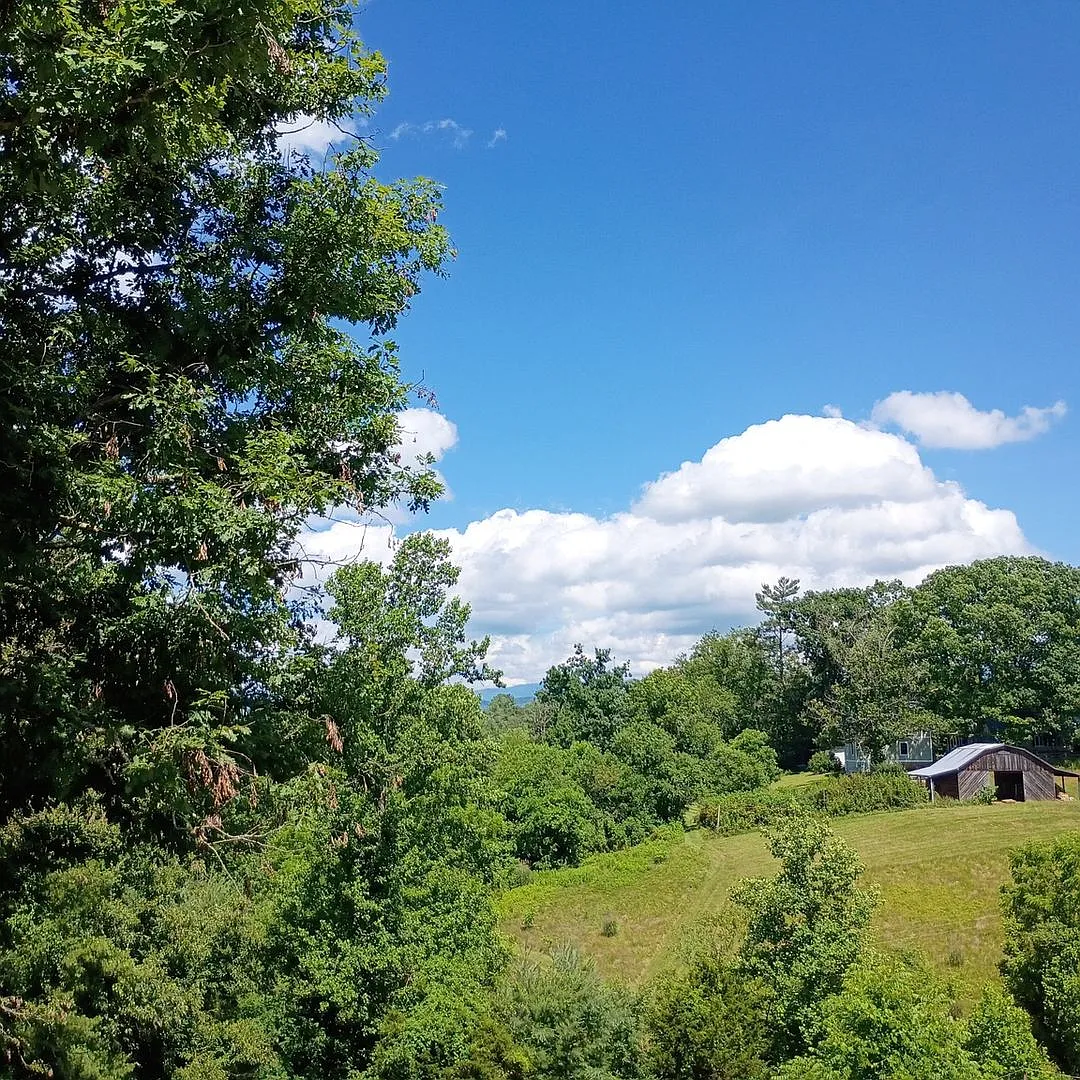 Charming 2BR House in Weaverville — Photo 4