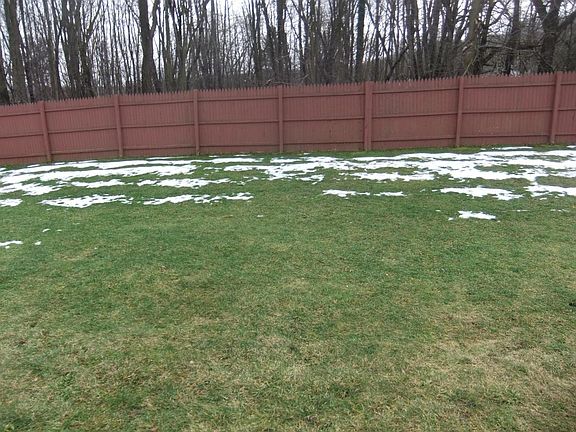 Large Back Yard