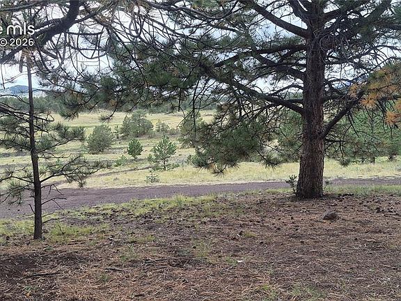 2nd image of 504 County Road 59