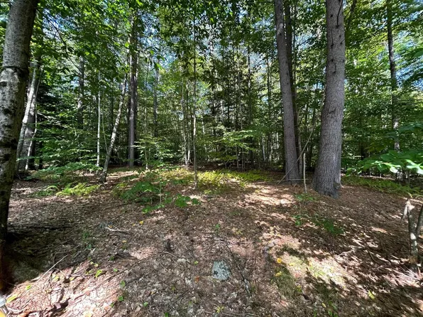 101-125 Winslow Road Map 101 Lot 125, Weare, NH 03281