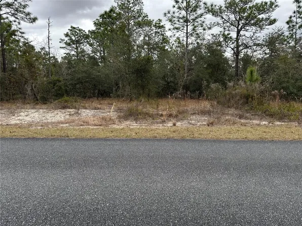SW Obee Ridge Rd, Dunnellon, FL 34431
