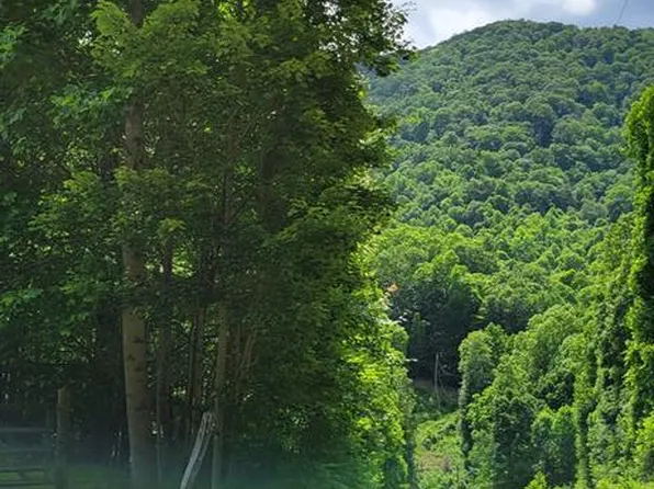 00 Brasstown Road, Cullowhee, NC 28723