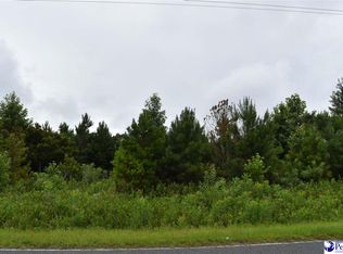 Delta Mill Rd, Pamplico, SC 29583