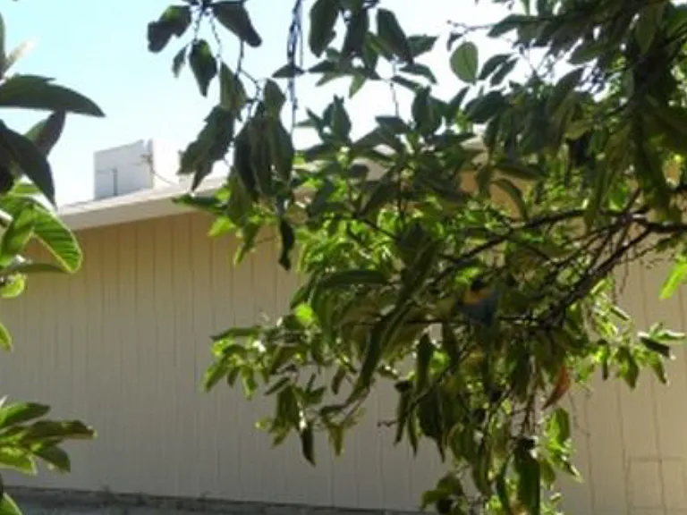 8945 Kelley Dr — Photo 2