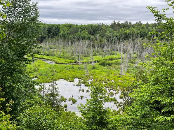 3000 Spikehorn Trl, Indian River, MI 49749