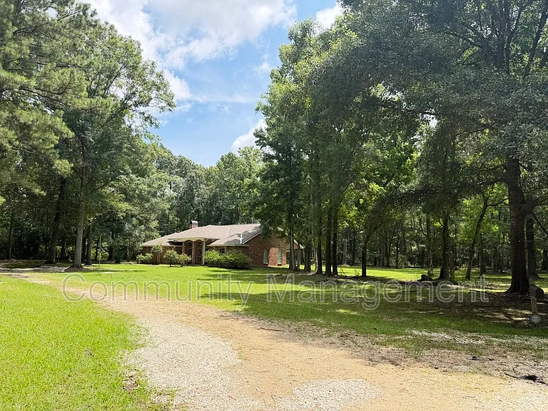 11275 Otto Odom Cir — Photo 33