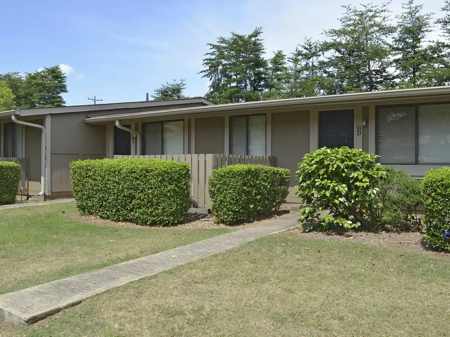 Pine Hill — Photo 2
