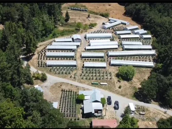 35082 Alderpoint Rd, Blocksburg, CA 95514