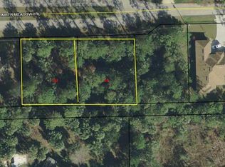 84 Slumber Meadow Trl, Palm Coast, FL 32164
