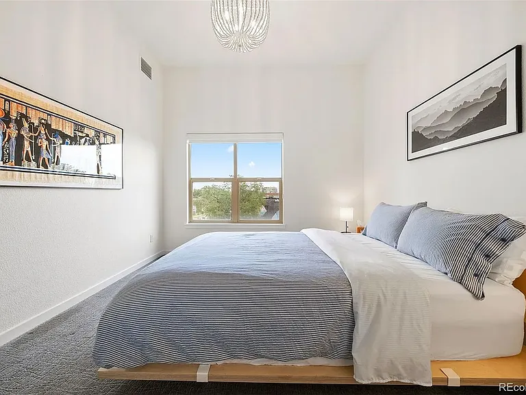 2900 N Downing St #311 — Photo 20