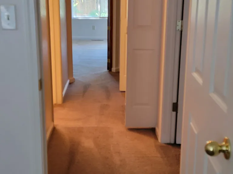 Hallway, on the right is the washer and dryer in the hallway