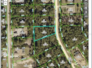 6507 Orinoco Rd, Weeki Wachee, FL 34613