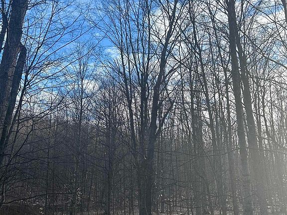4th image of LOT 103 Walkers Way