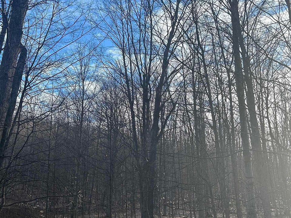 1st image of LOT 141 E Village Dr